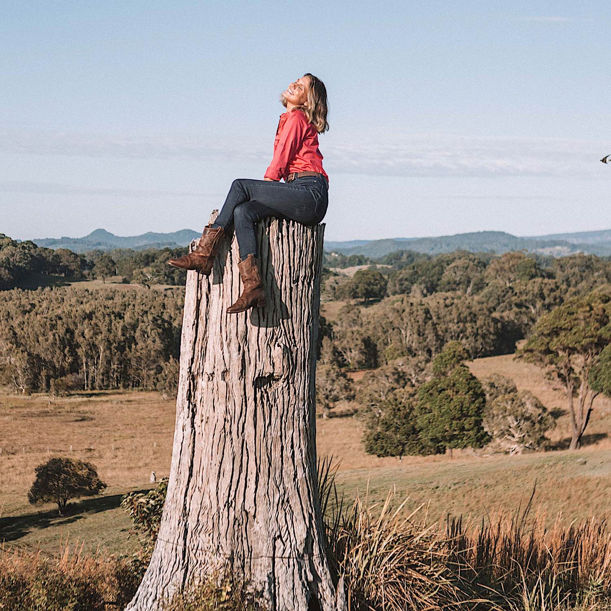 Ringers Western Womens Work Shirts
