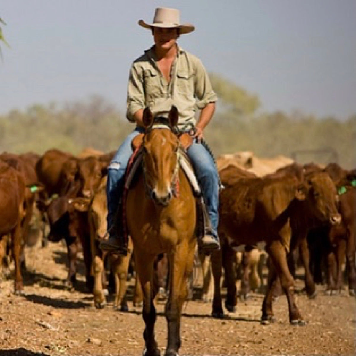 Akubra Country Style Hats