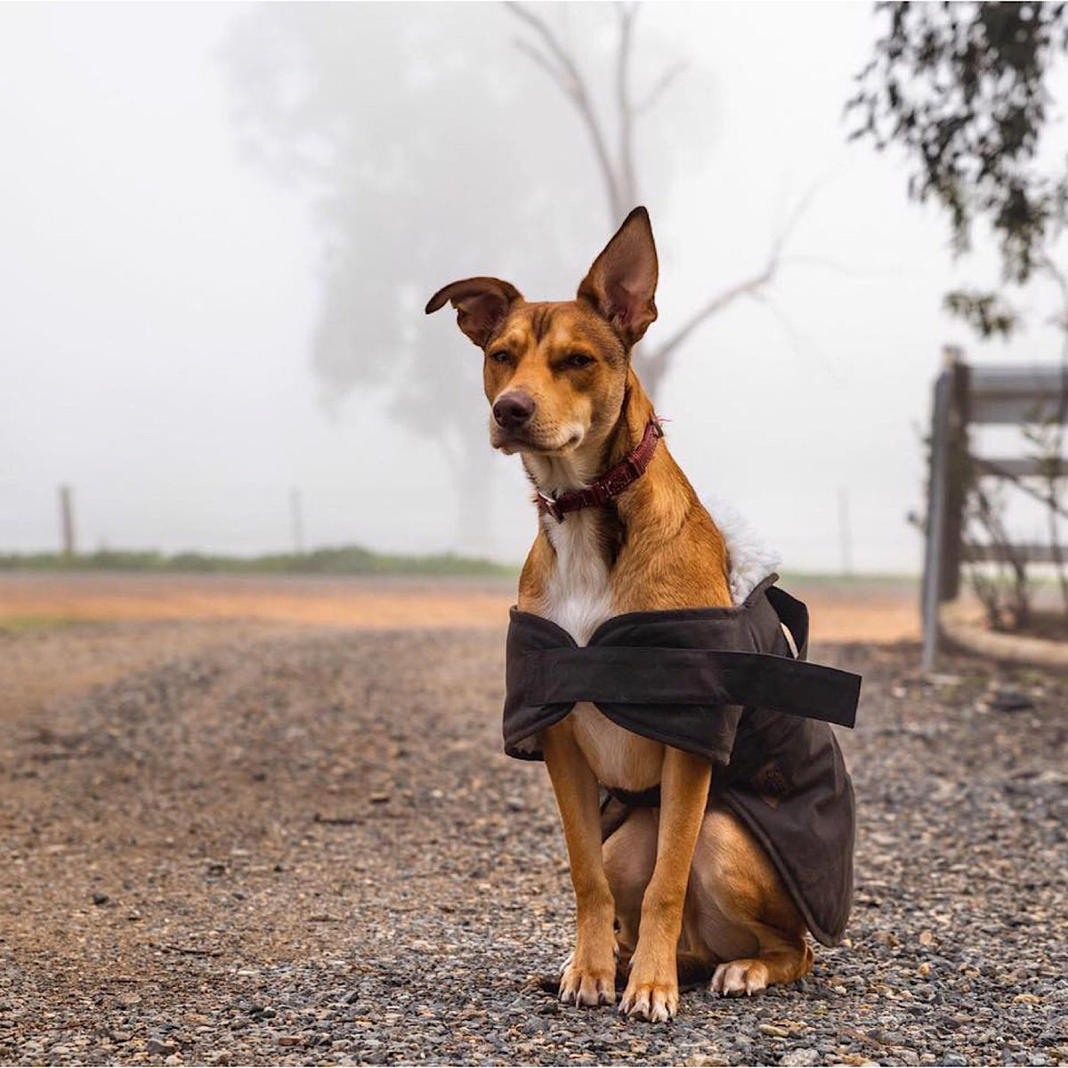 Burke & Wills Accessories