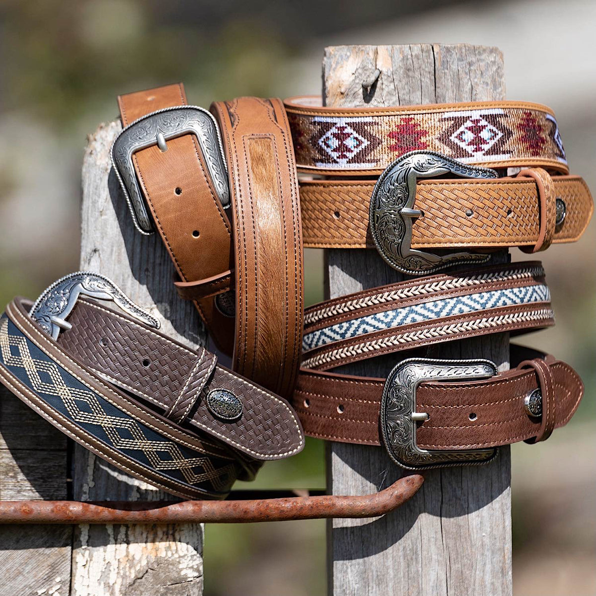 Pure Western Mens Belts