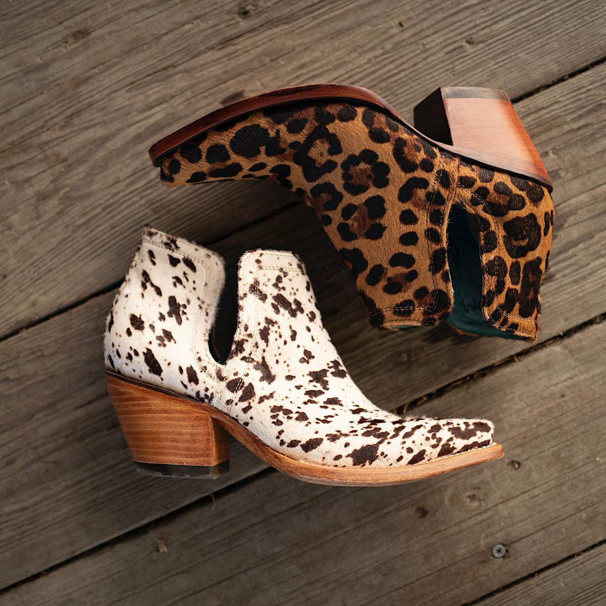Ariat Womens Western Fashion Footwear