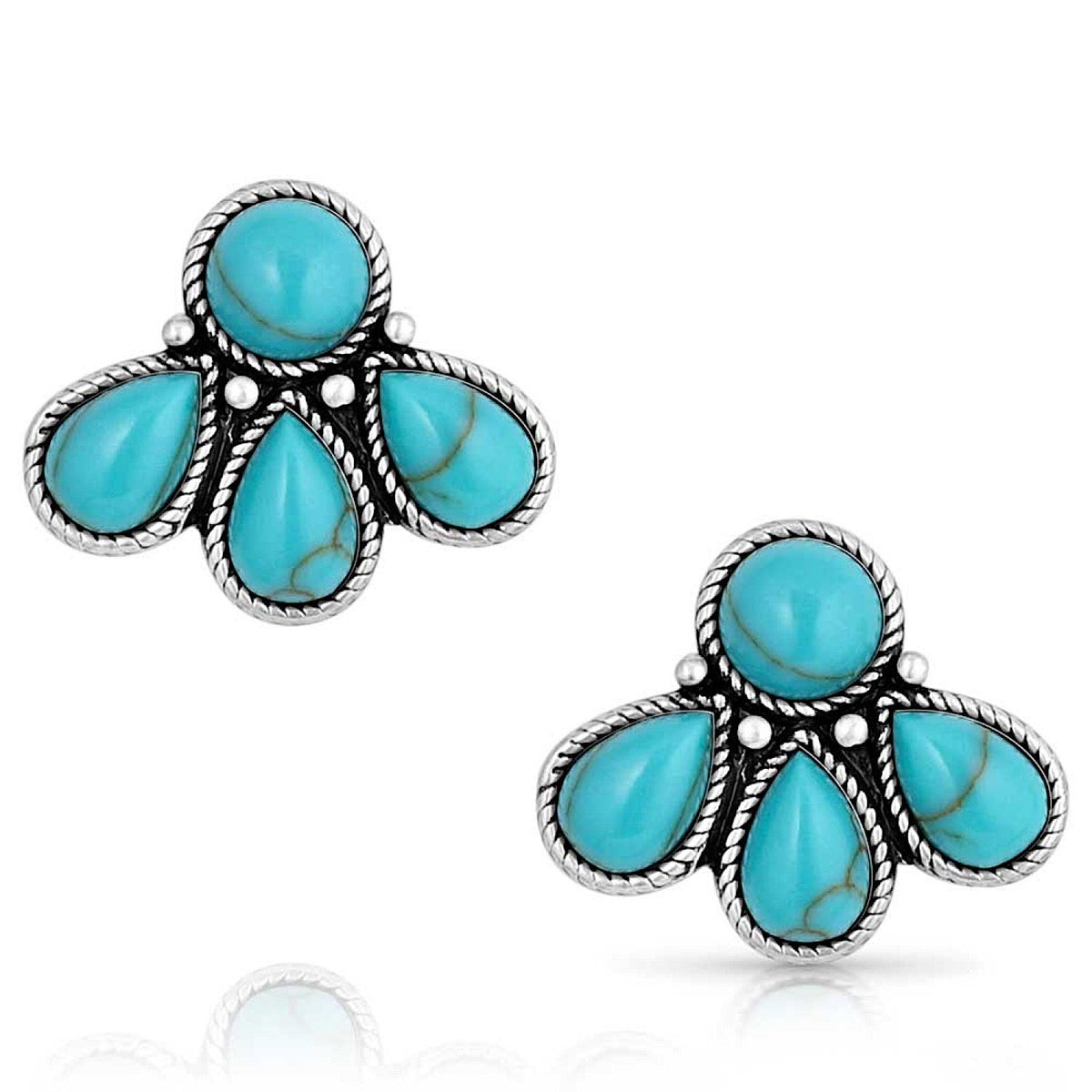 Montana Silversmiths Nature’s Wonder Turquoise Earrings