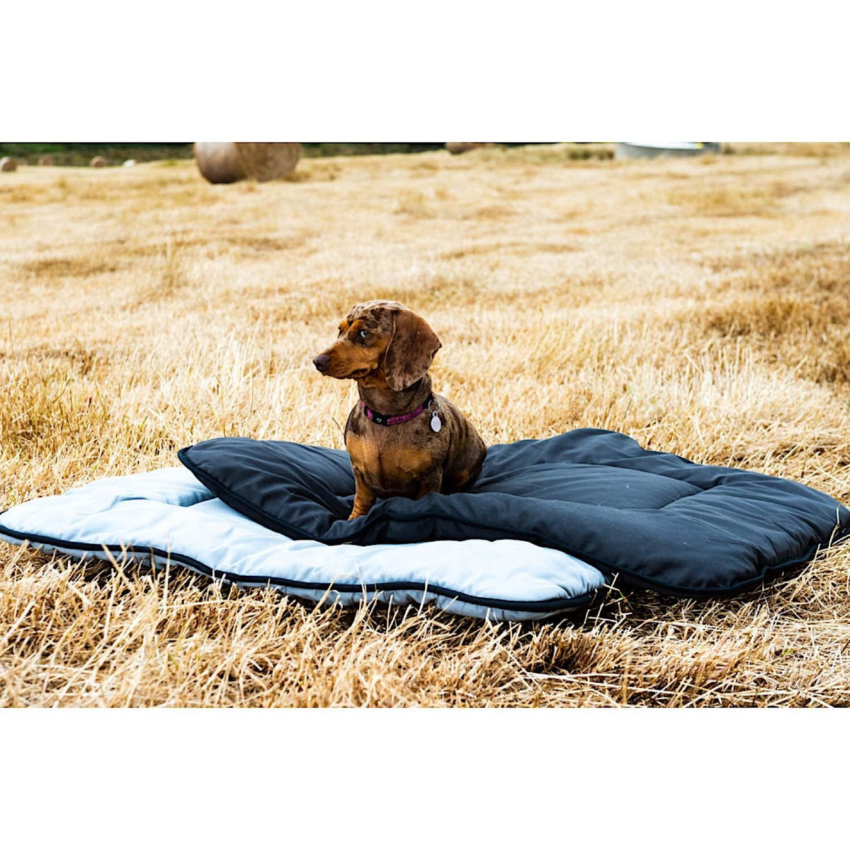 Pure Australian Wool Pet Beds