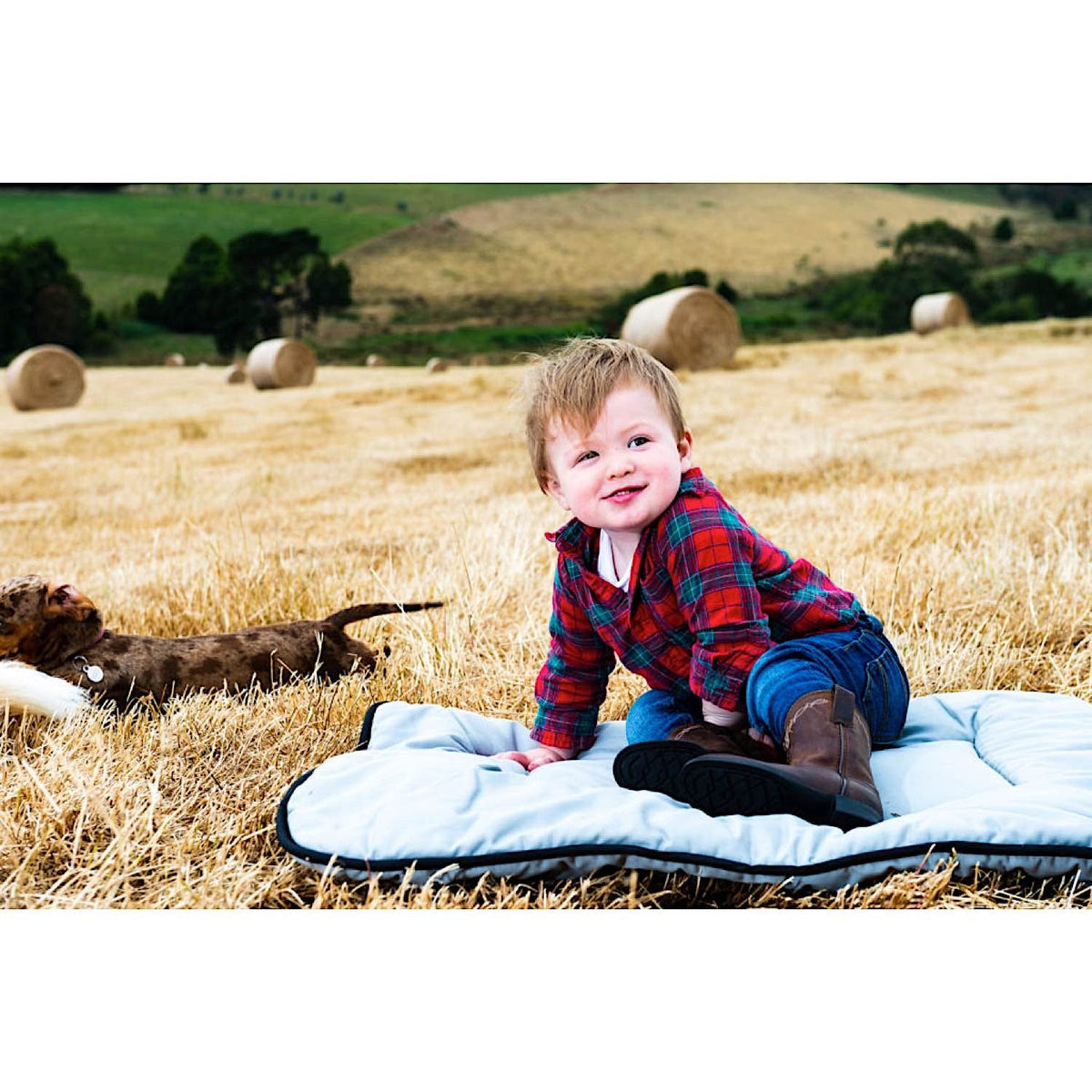 Pure Australian Wool Pet Beds