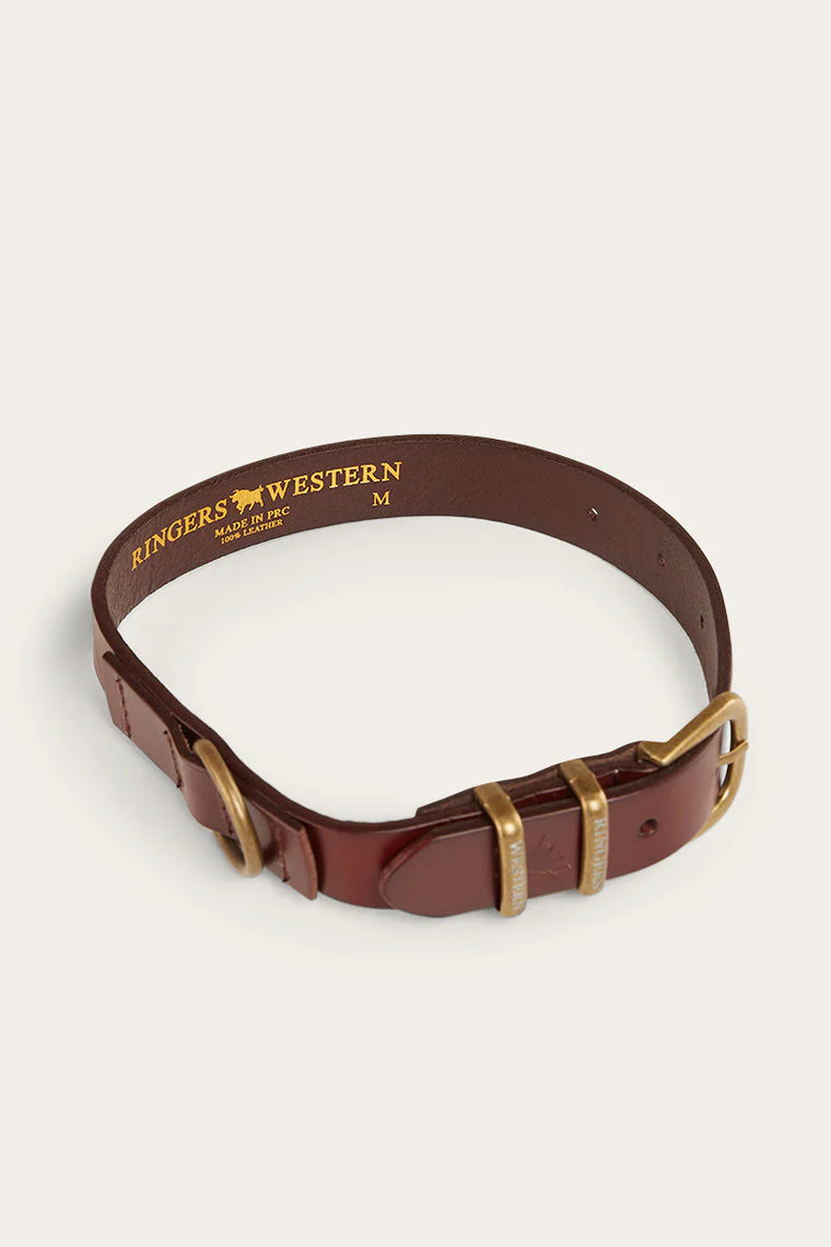 Ringers Western Walker Dog Collar-Tawny Brown/Gold