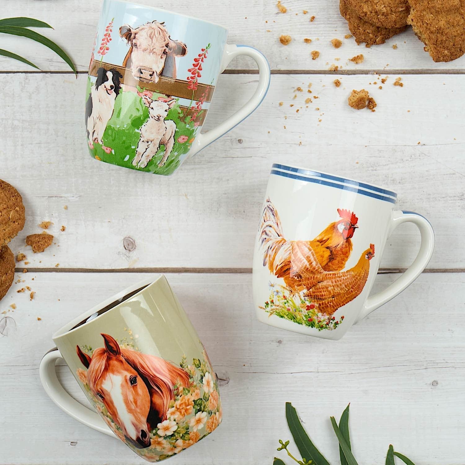 Thomas Cook Homewares