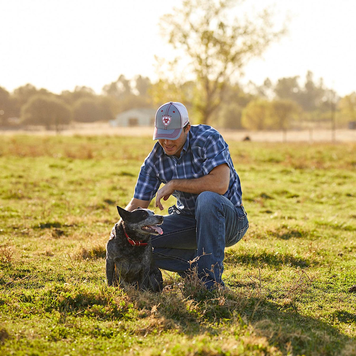 Ariat Mens Caps
