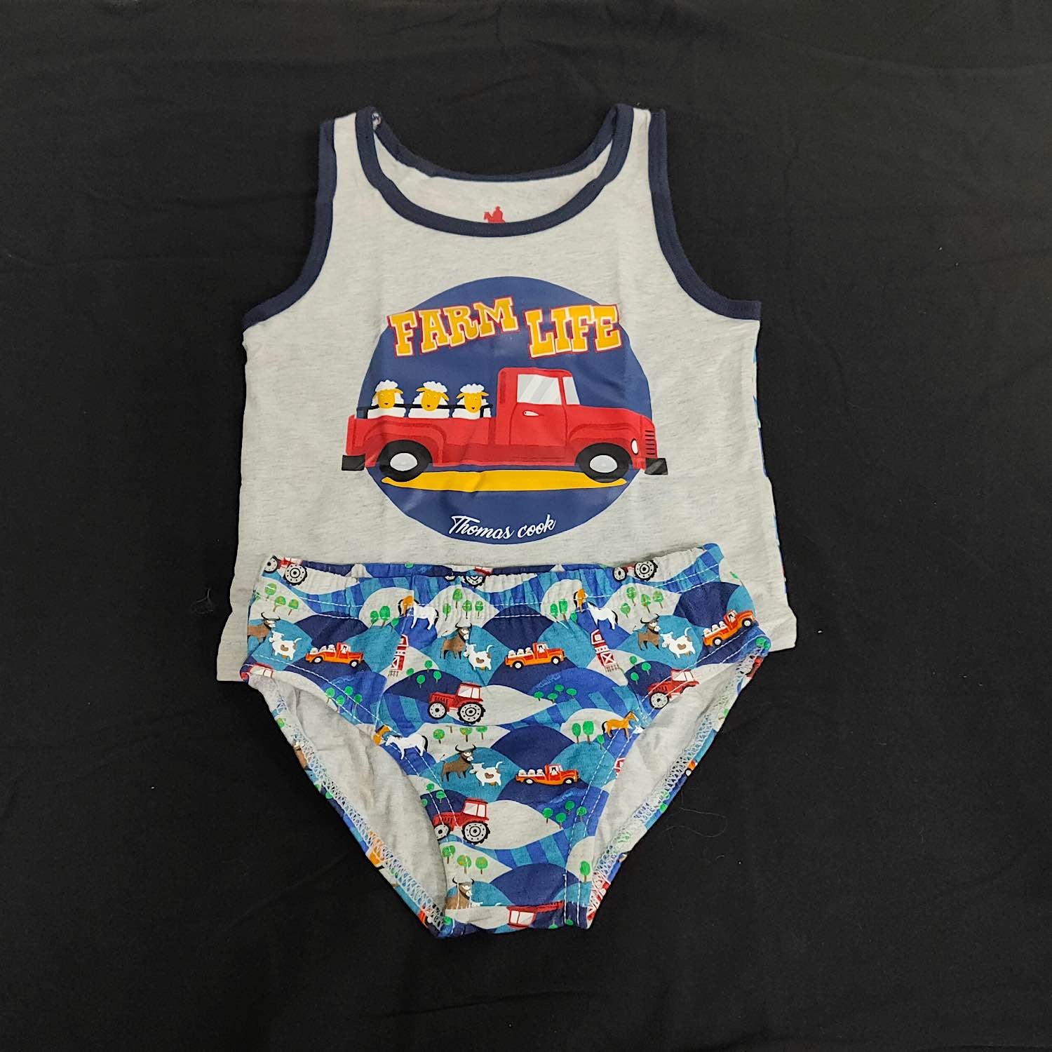 Thomas Cook Boys Underwear