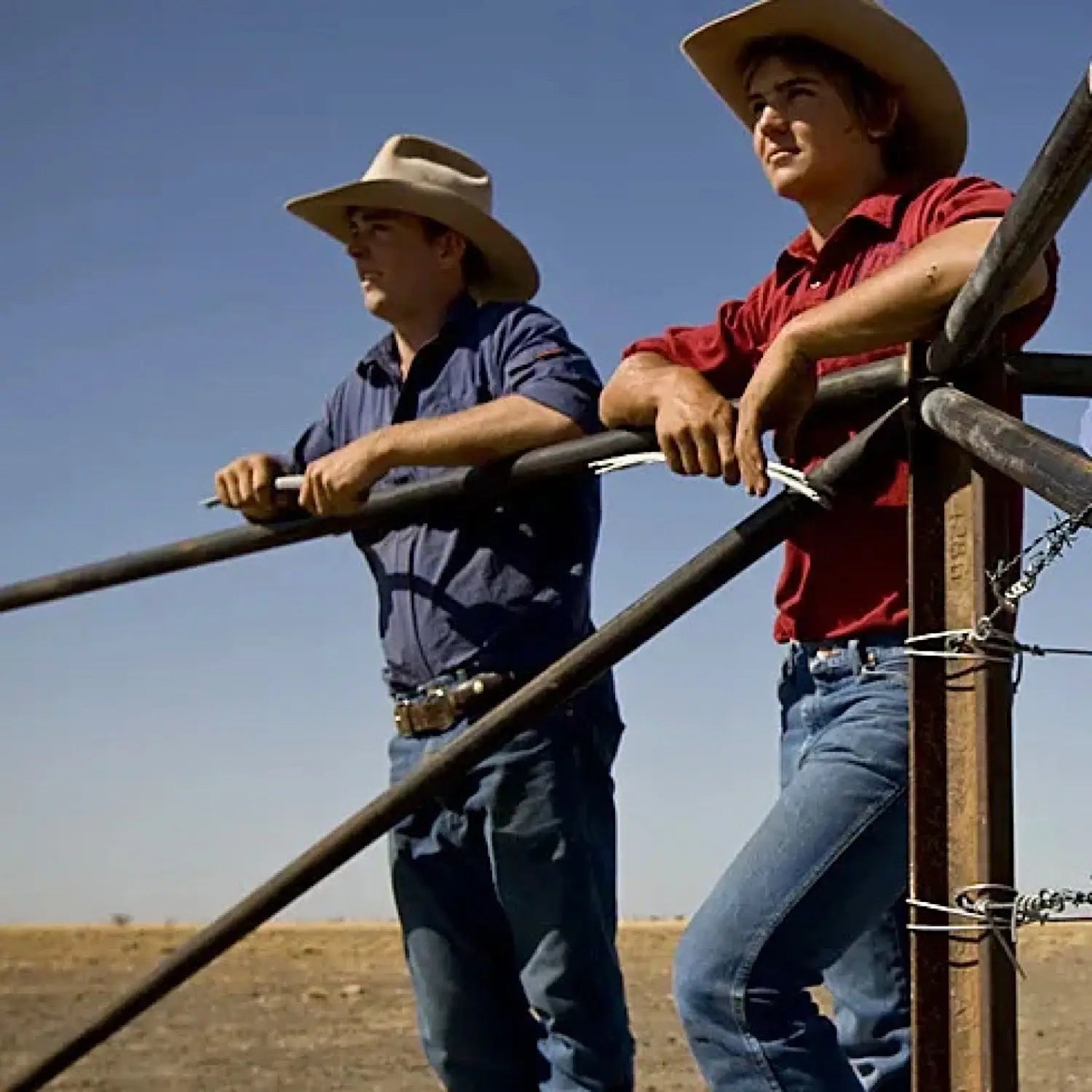 Akubra Belts