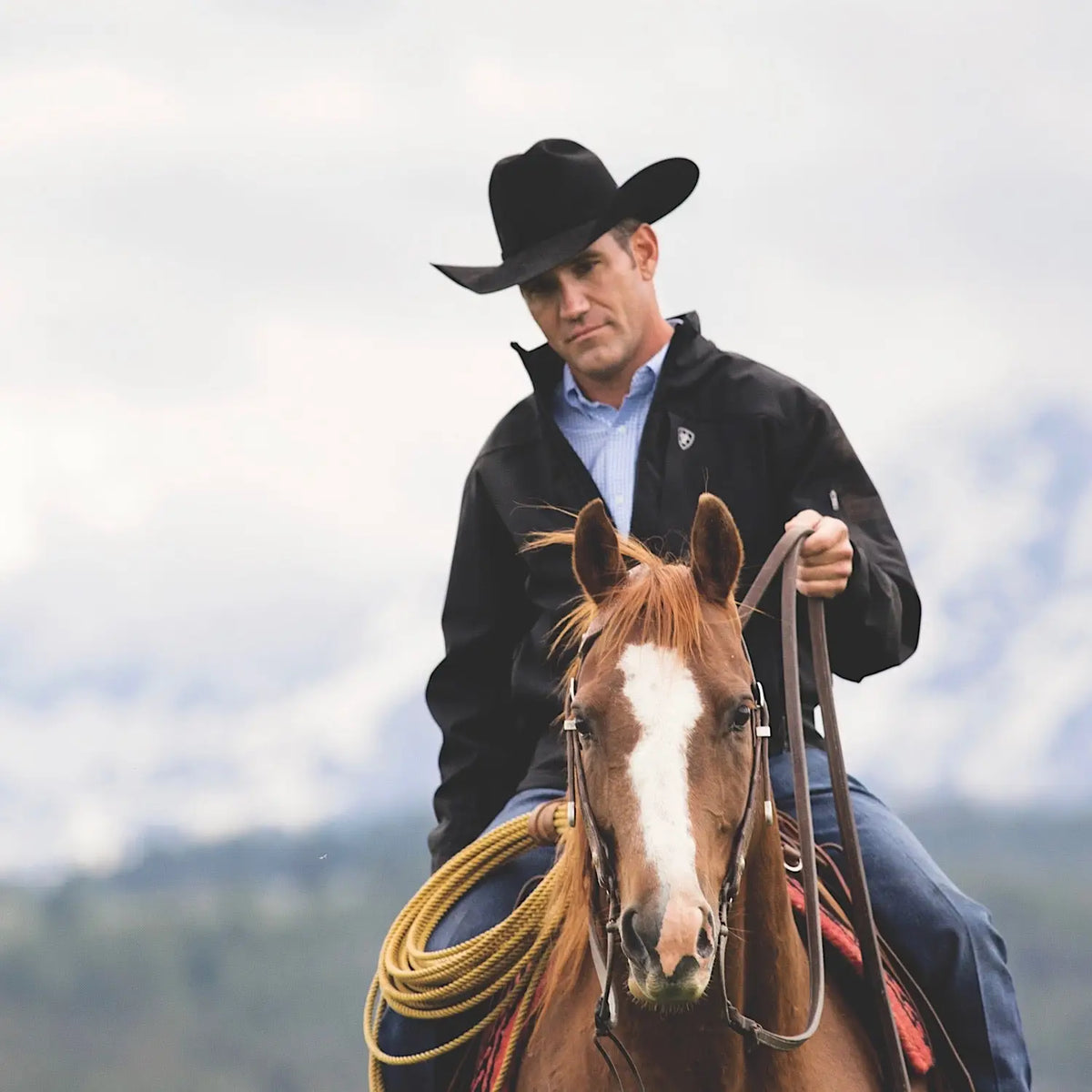 Ariat Men's Clothing &amp; Apparel 