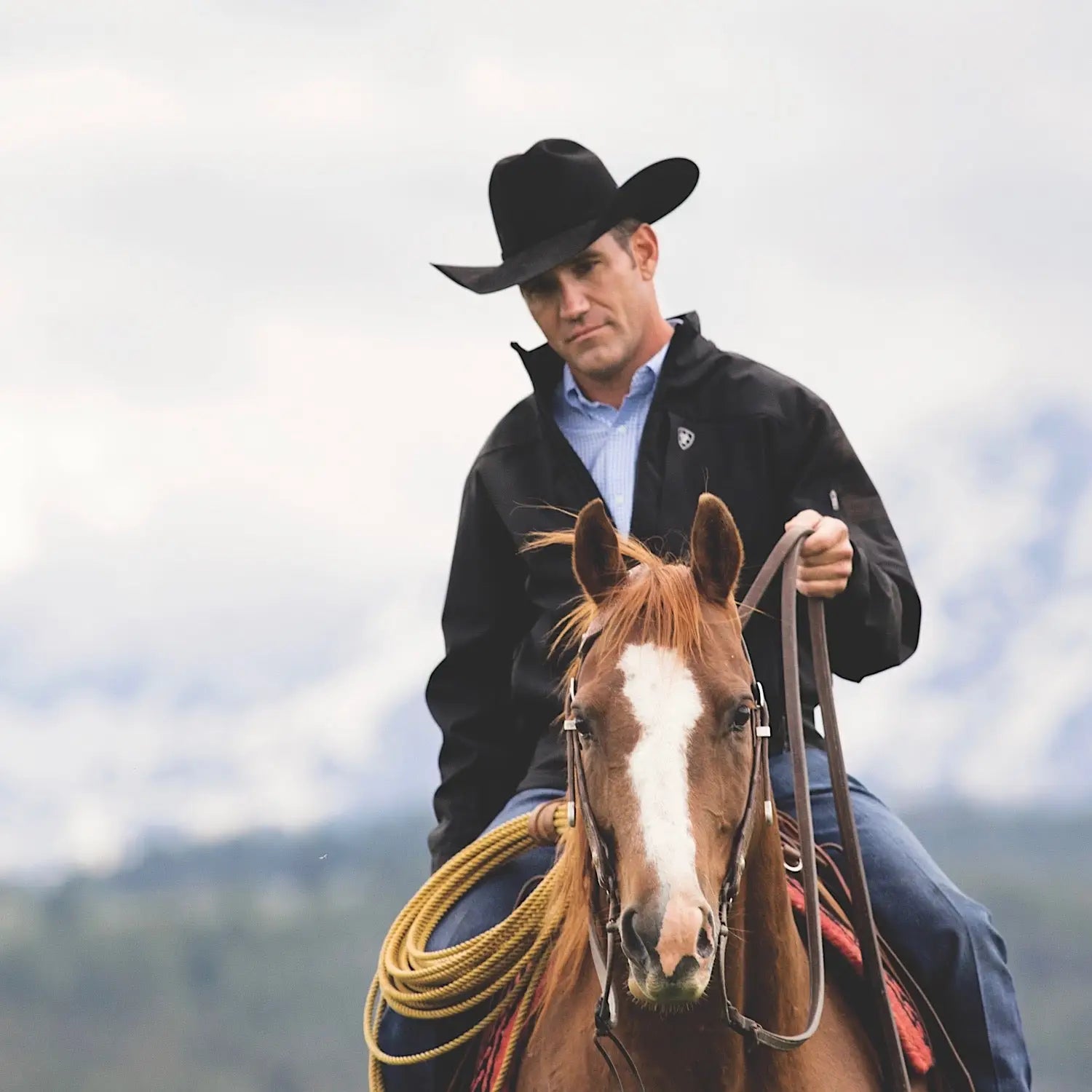 Ariat Men's Clothing &amp; Apparel 