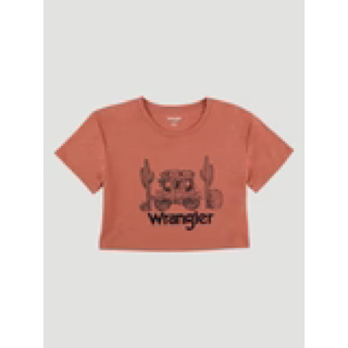 Wrangler Women's Retro Stagecoach Boyfriend Crop Tee - Redwood Marle