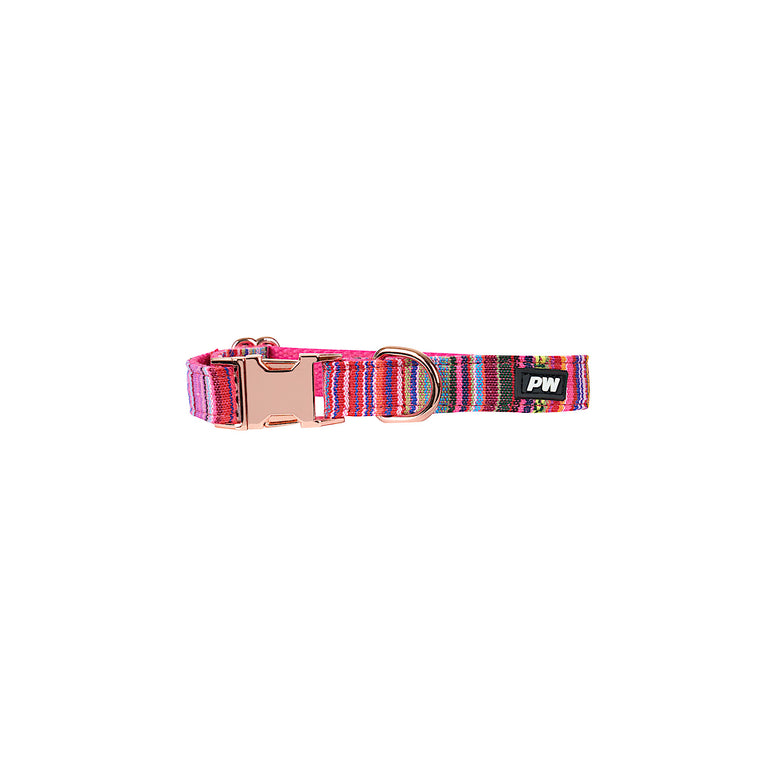 Pure Western Bowie Dog Collar - Pink