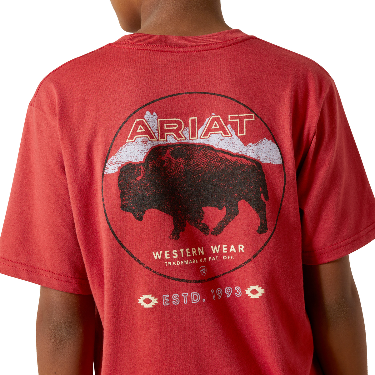Ariat Boy’s Patriot Buffalo Coin Tee - Brick Red