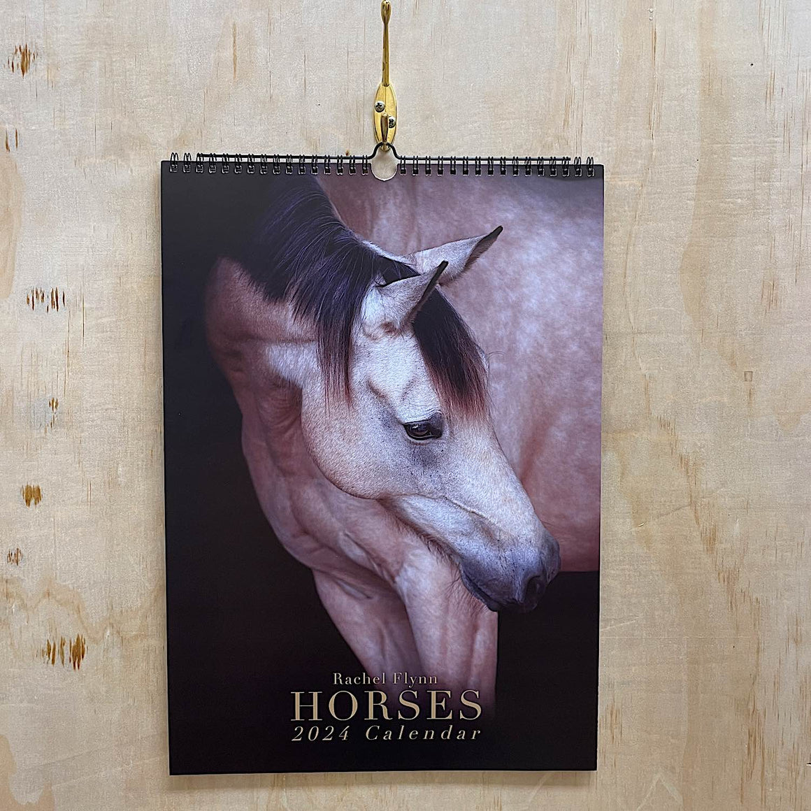Rachel Flynn Equine Photography Horse Calendar - 2024