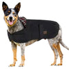 Burke & Wills Scotty Dog Coat - Brown / Check