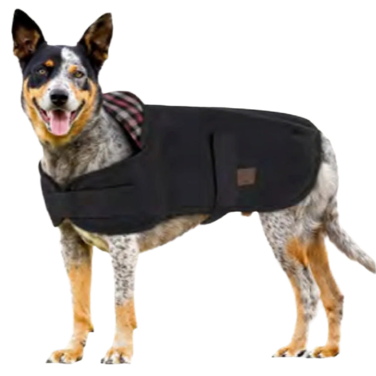 Burke & Wills Scotty Dog Coat - Brown / Check