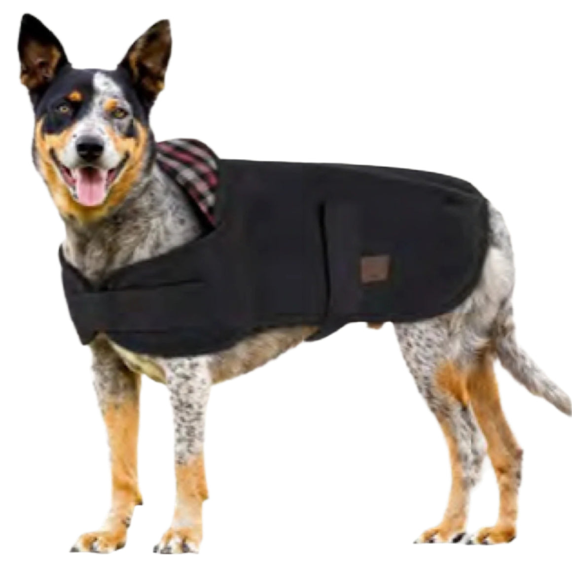 Burke & Wills Scotty Dog Coat - Brown / Check