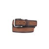 Thomas Cook Grayson Belt - Mocha