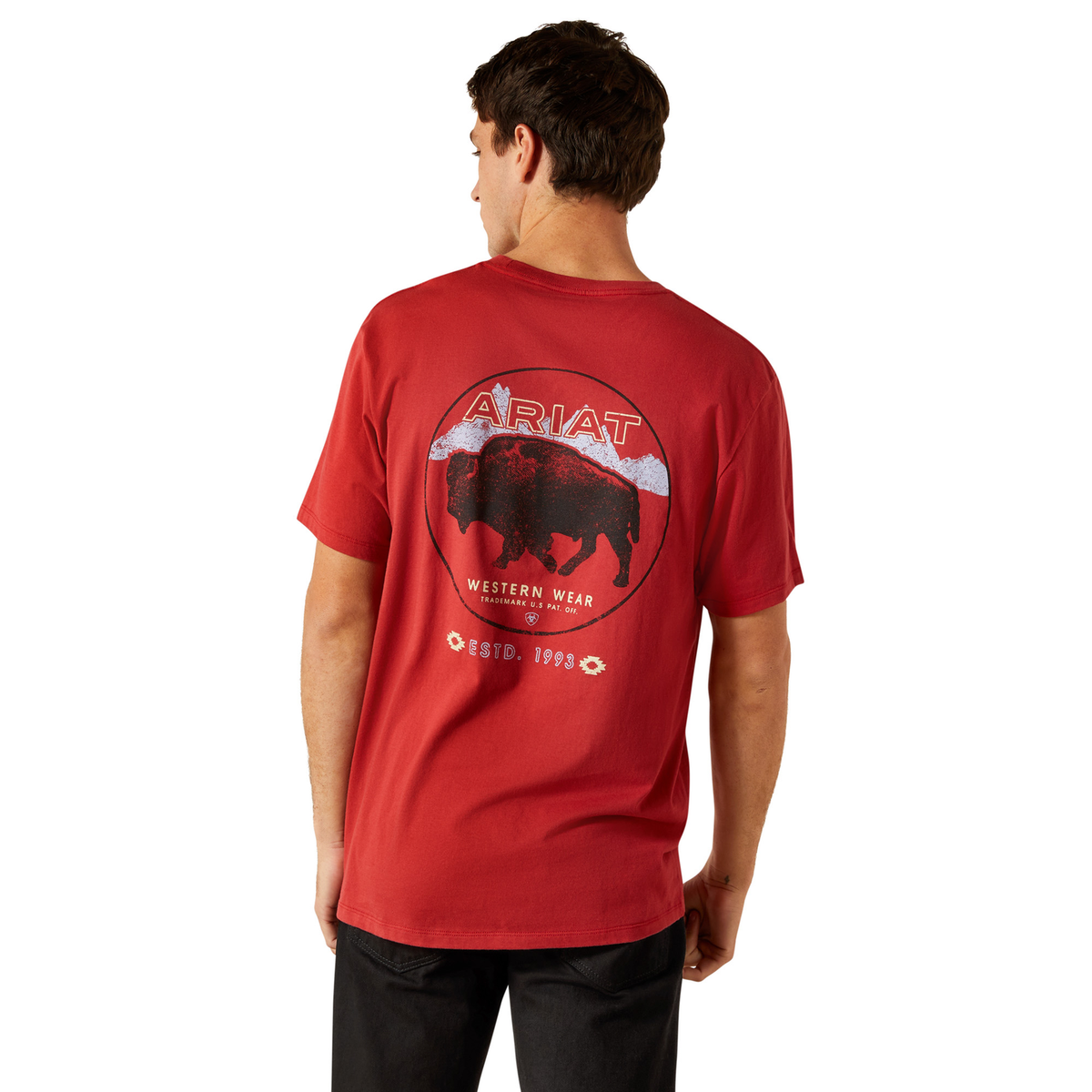 Ariat Mens Patriot Buffalo Coin Tee - Brick Red