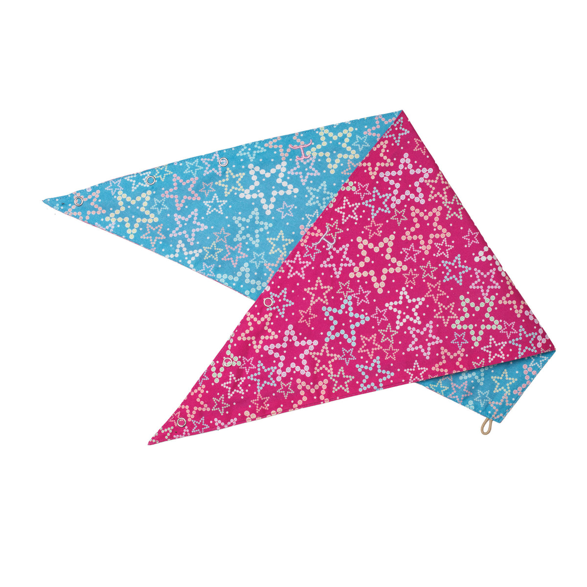 Just Country Carlee Double Sided Scarf - Swedish Blue Stars / Fuchsia Stars