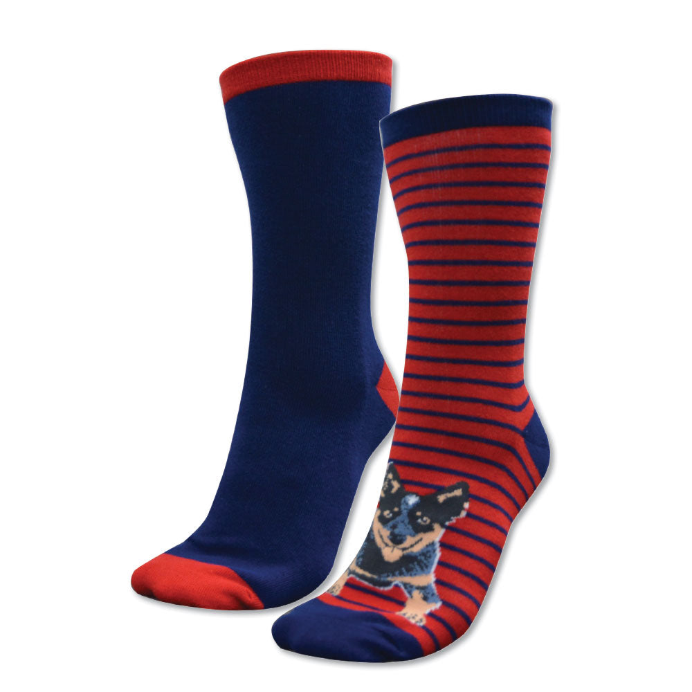 Thomas Cook Homestead Socks Twin Pack Navy/Red & Blue Heeler
