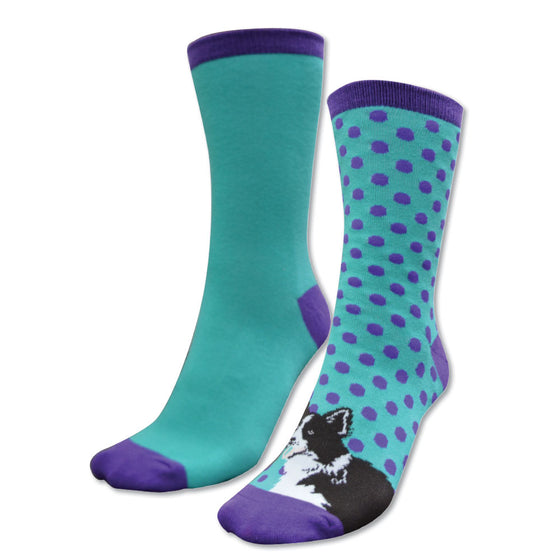 Thomas Cook Homestead Socks Twin Pack Purple/Turquoise & Border Collie